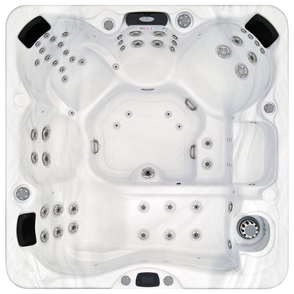 Avalon-X EC-867LX hot tubs for sale in Cicero